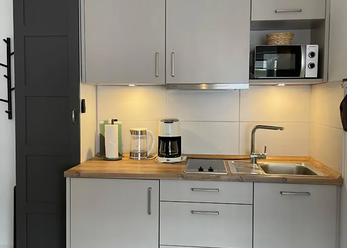 Huus Moevchen 公寓 博尔库姆