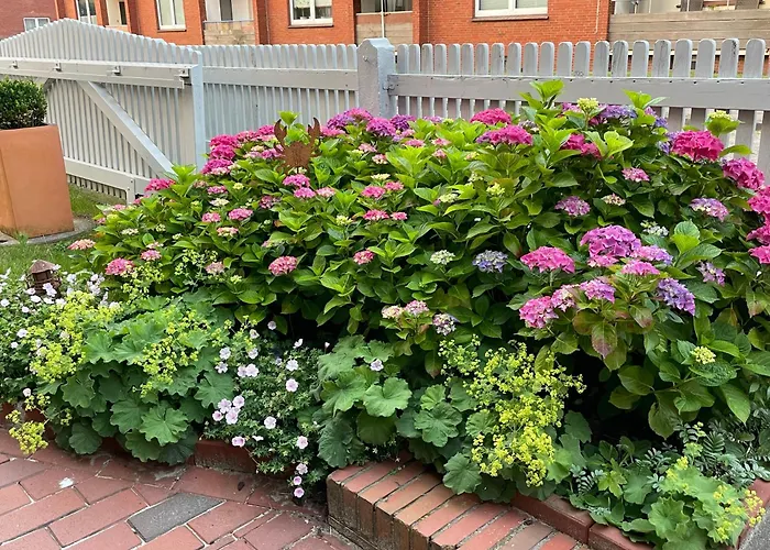 公寓 Huus Moevchen *